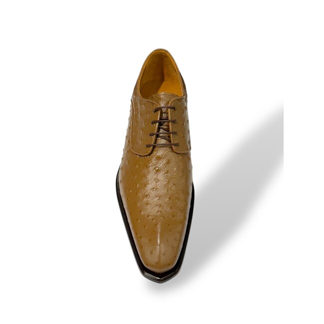 Mister 'Roma' Men's Shoes Camel Exotic Ostrich-Skin Lace-Up
