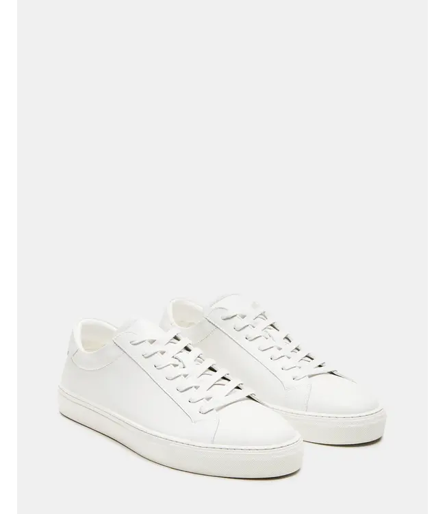 Steve Madden Steve Maden Men's Sneaker "Nickai" White