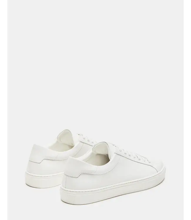 Steve Madden Steve Maden Men's Sneaker "Nickai" White
