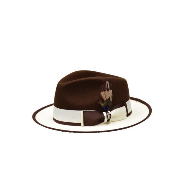 Bruno Capelo Preston