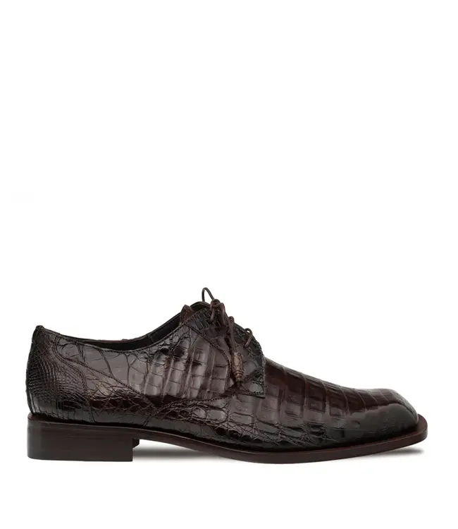 Mezlan Mezlan Ugo Crocodile Lace Up