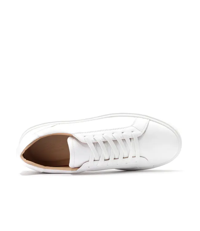 Samuel Low-Top Sneaker