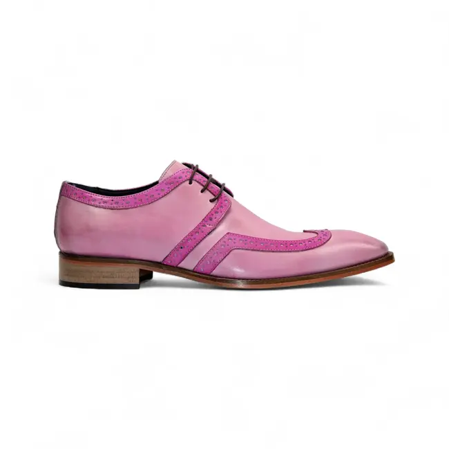 Duca Duca Savona