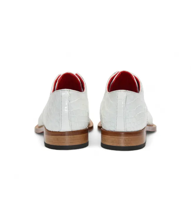 Fennix Fennix Kingston Exotic Alligator Leather