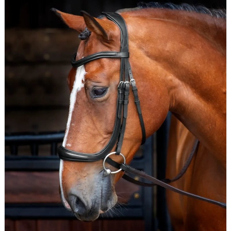 Shires Shires Rapida Velociti Ergonomic Curved Cavesson Bridle