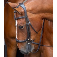 Shires Shires Rapida Velociti Ergonomic Curved Cavesson Bridle