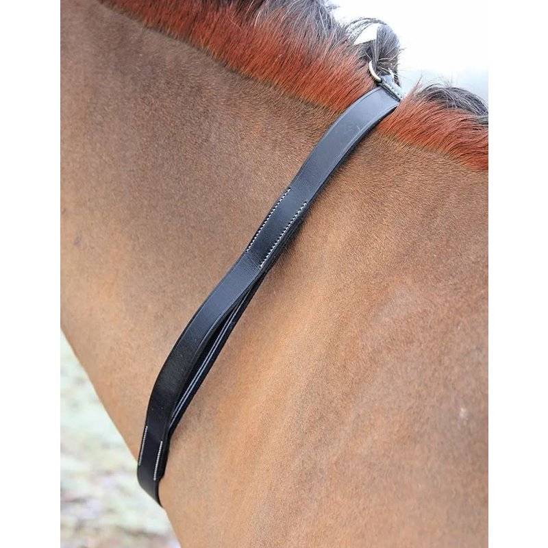Shires Shires Tapestry Neck Strap & Attachment