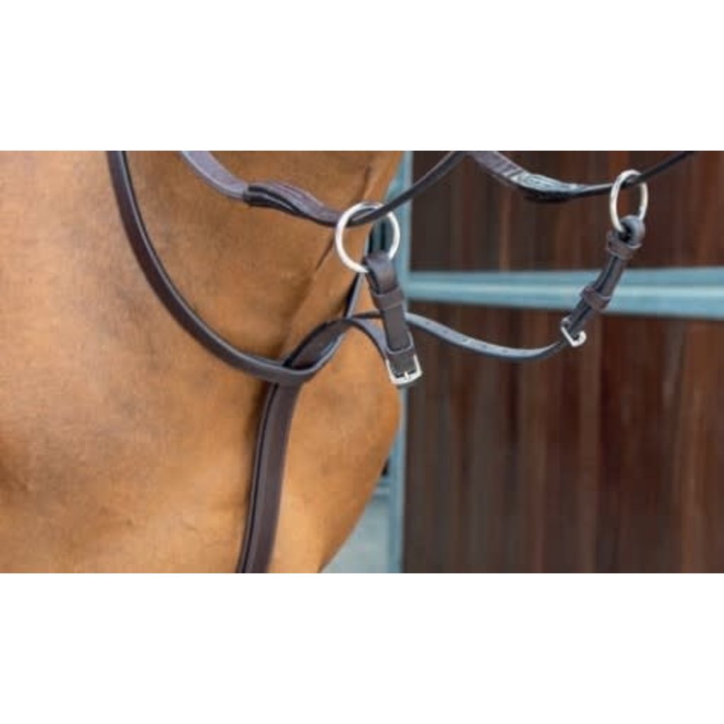 Shires Lusso Running Martingale - Bit Barn