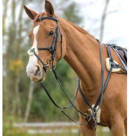 Shires Shires Five Point Breastplate