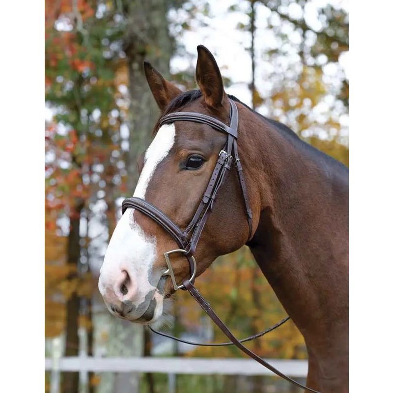 Shires Shires Avignon Ocala Bridle