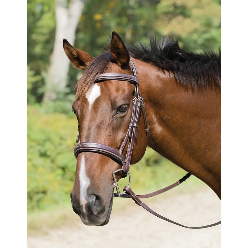 Shires Shires Avignon Wellington  Bridle