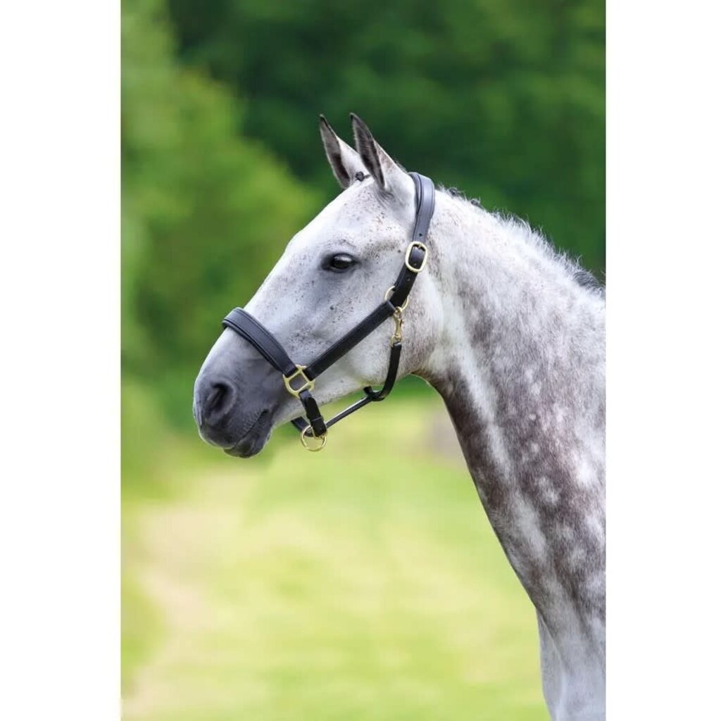 Shires Shires Blenheim Leather Travel Headcollar