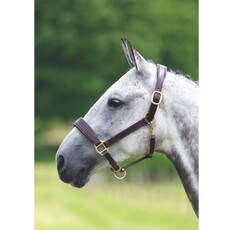 Shires Shires Blenheim Leather Travel Headcollar