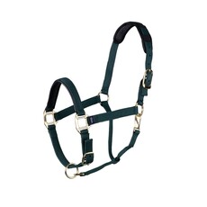 Shires Shires Topaz Nylon Halter with Breakaway