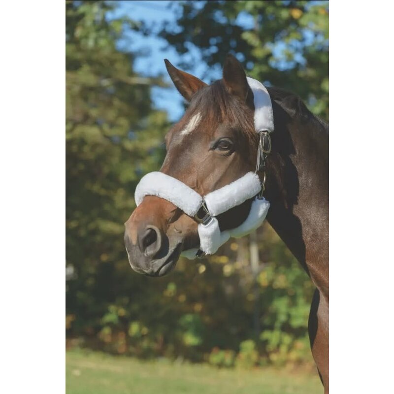 Shires Shires SupaFleece Halter 6 Piece Set