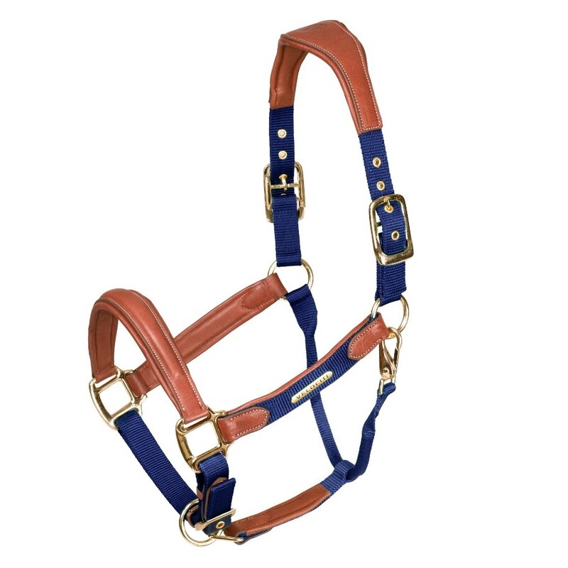 Shires Shires Velociti Lusso Padded Leather Halter