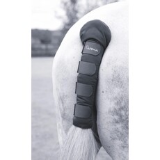 Shires Arma Padded Tail Guard