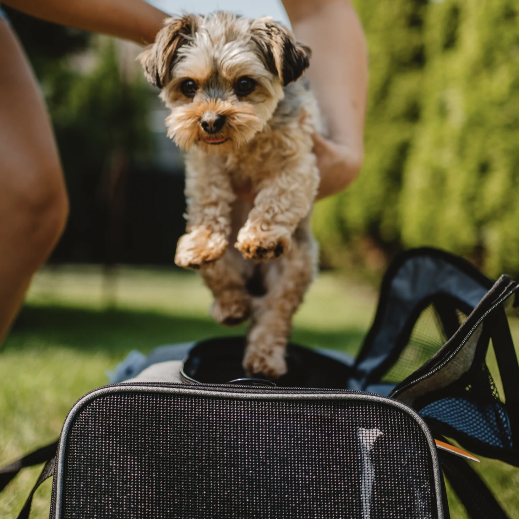 Be One Breed Be One Breed: Grey Pet Carrier