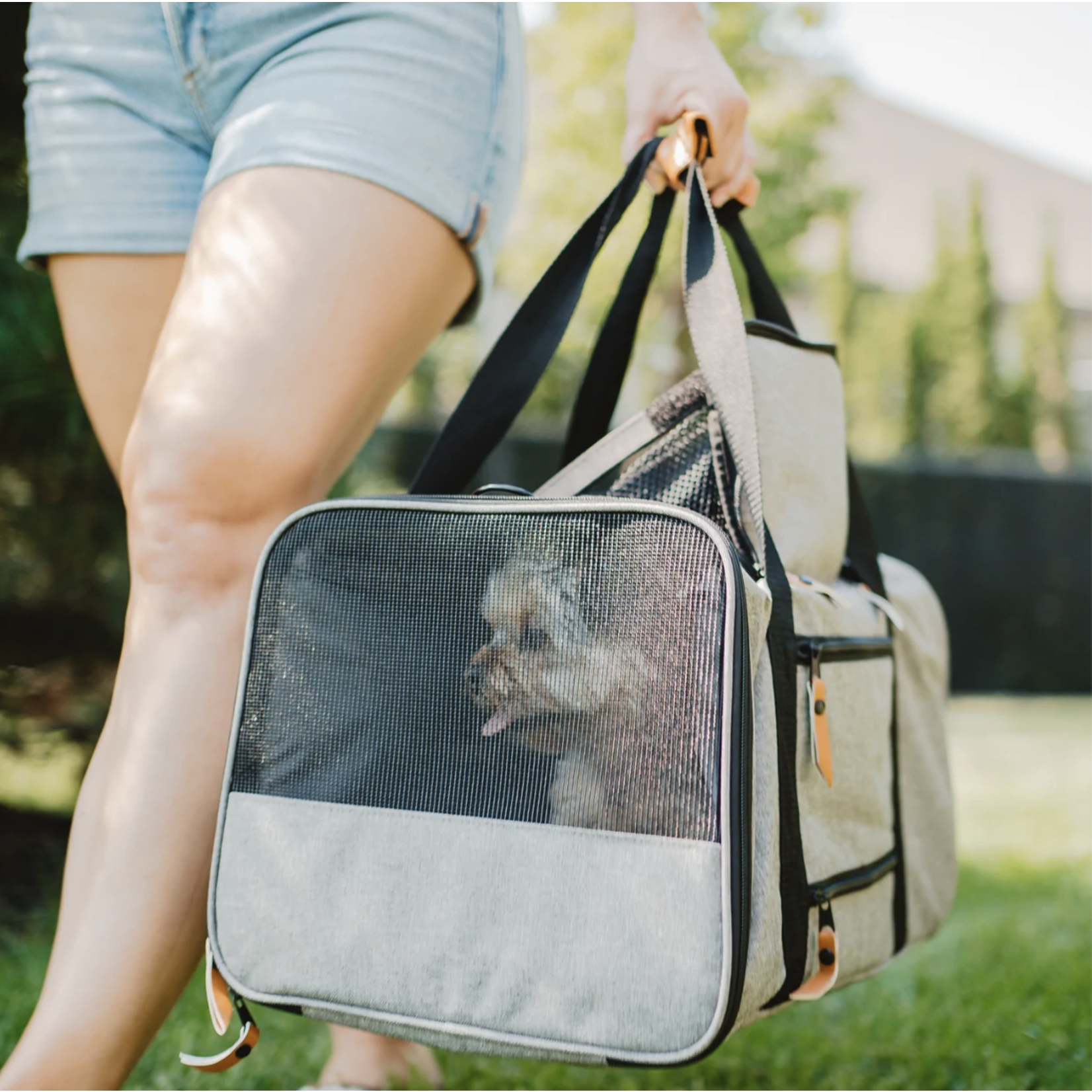 Be One Breed Be One Breed: Grey Pet Carrier