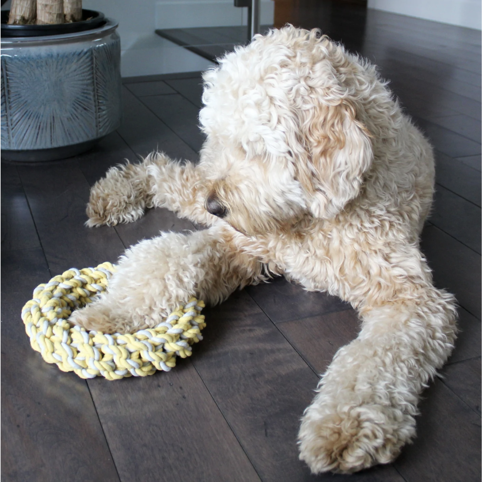 Be One Breed Be One Breed: Ring Rope Toy 8"