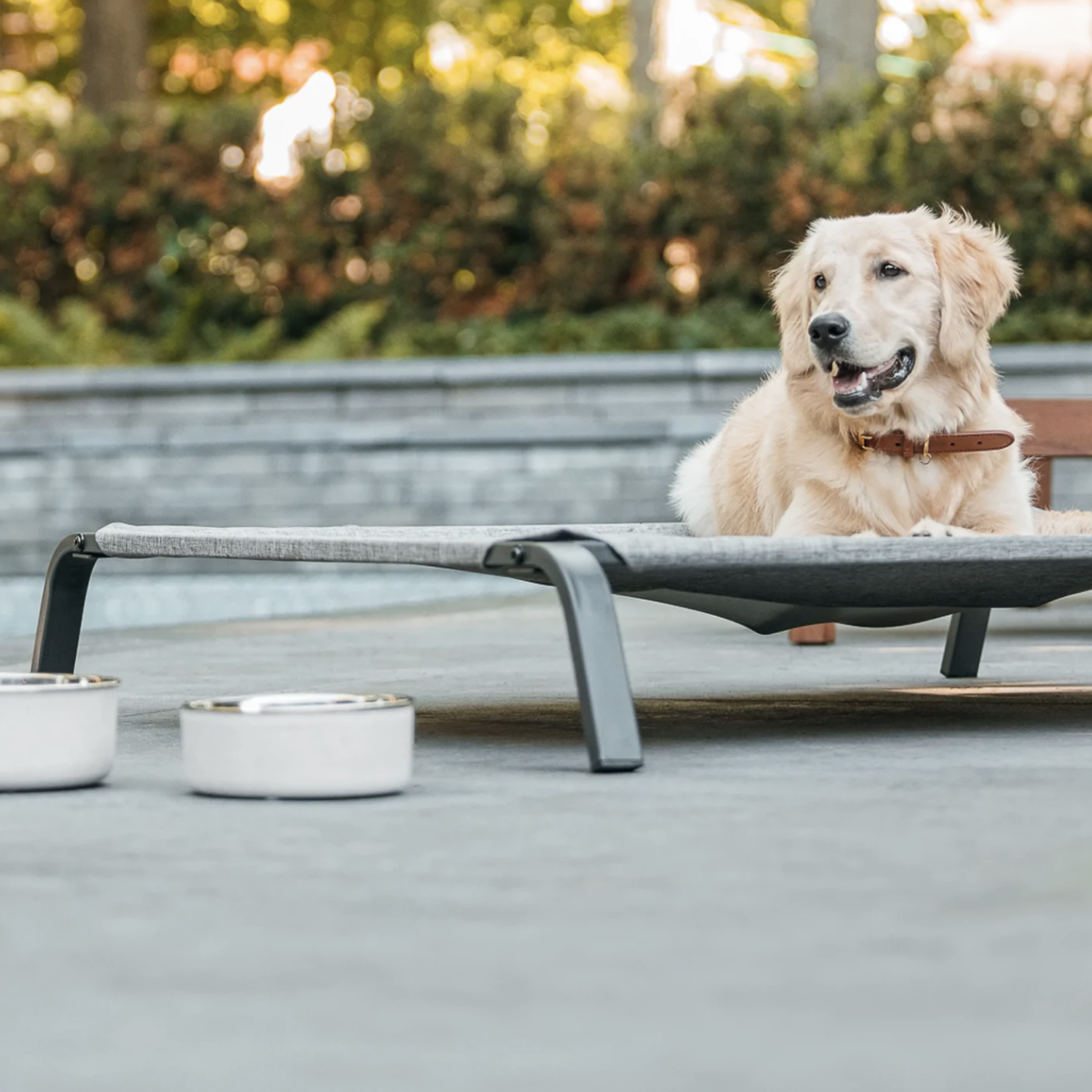 Be One Breed Be One Breed: Stainless Steel Concrete Bowl