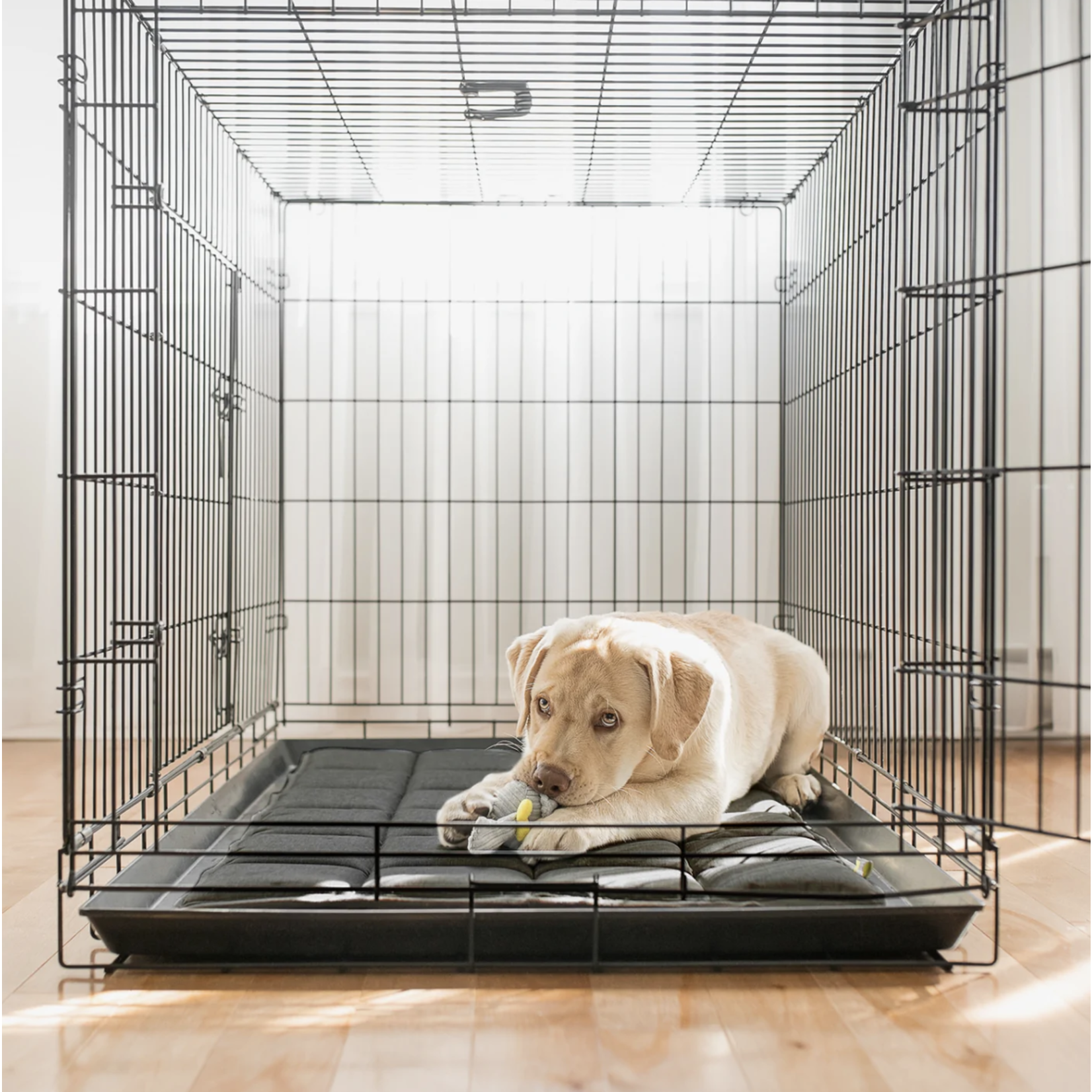 Be One Breed Be One Breed: Reversible Crate Mat: Dark Grey