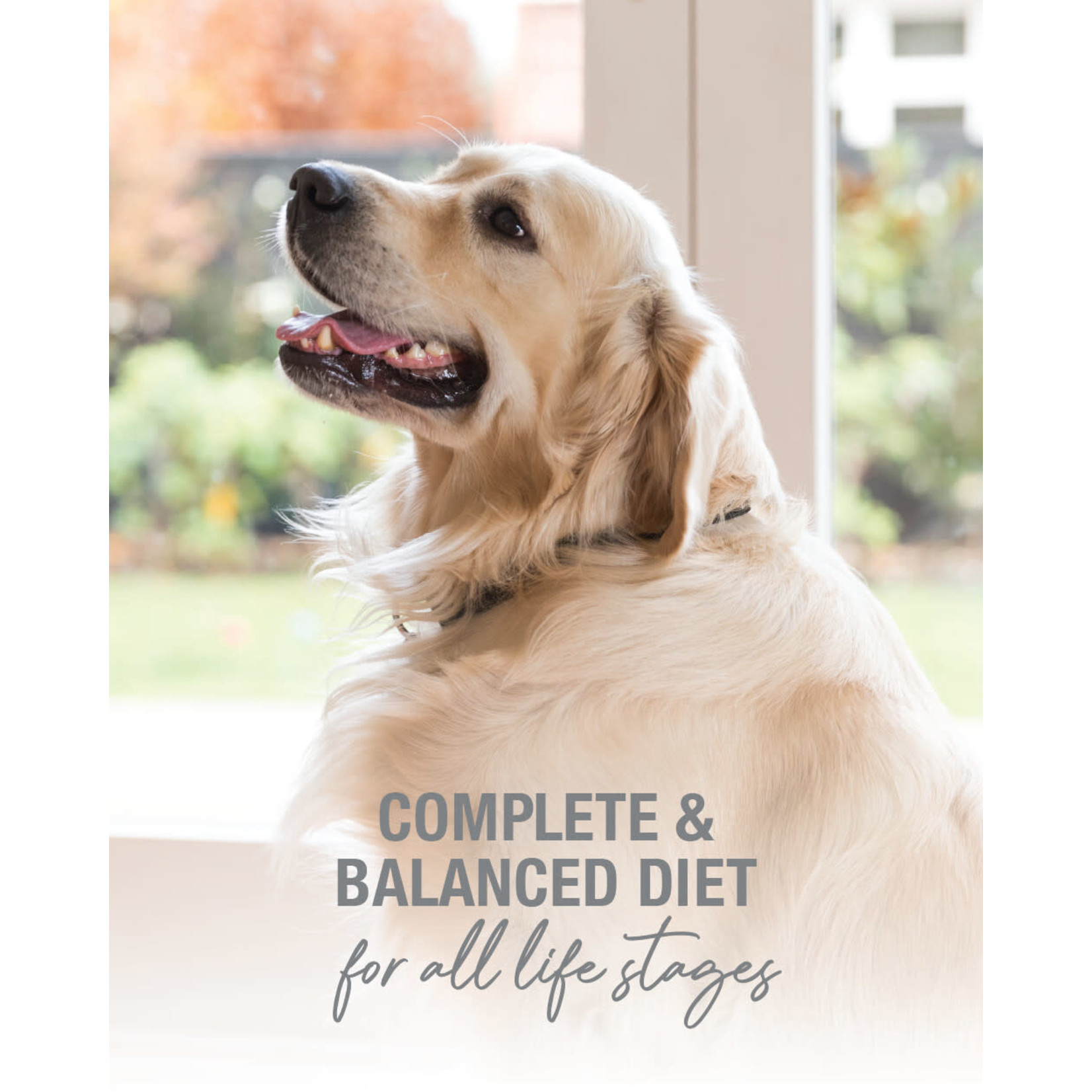 K9 Natural K9 Natural: Beef Feast Freeze-Dried Food