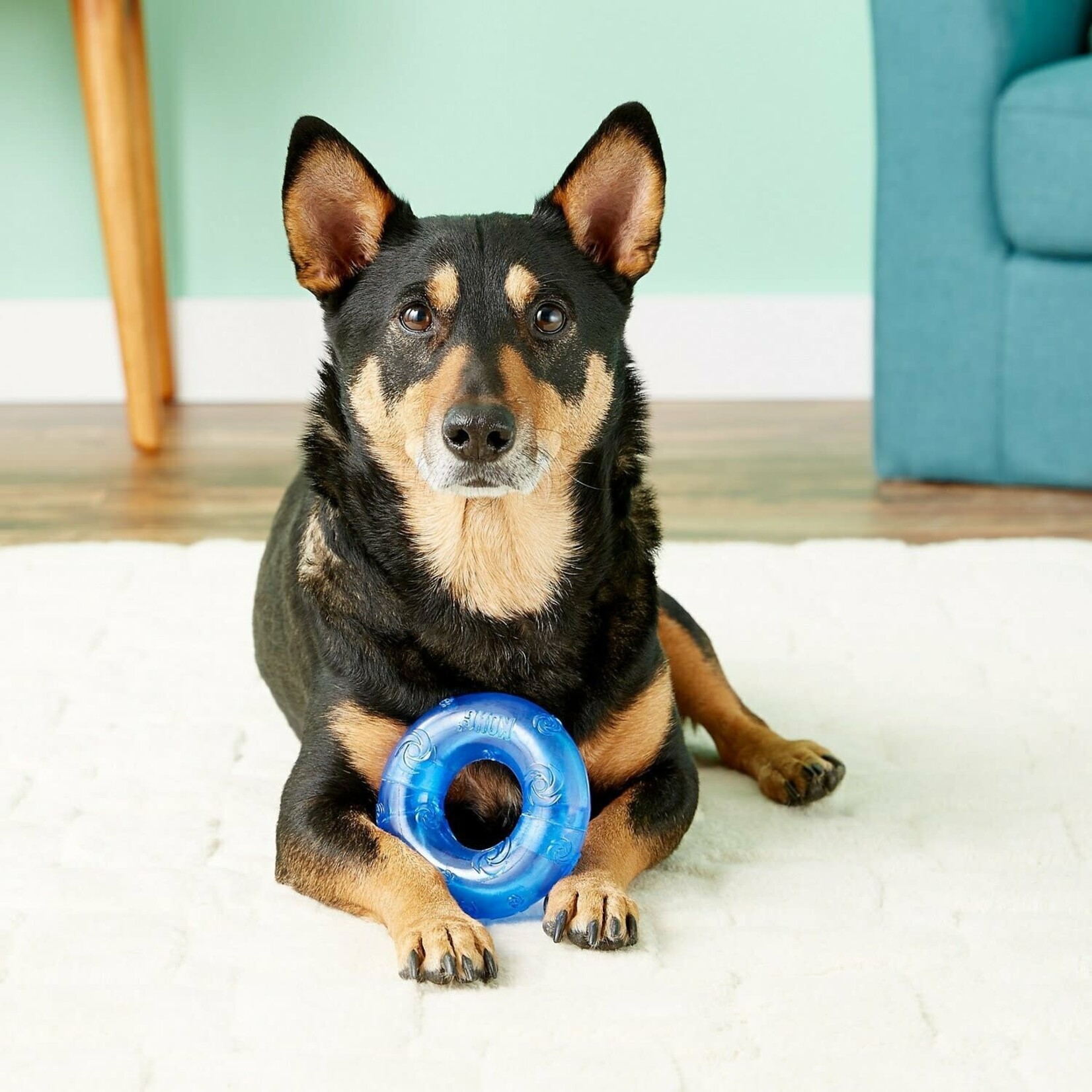 Kong Kong: Squeezz Ring