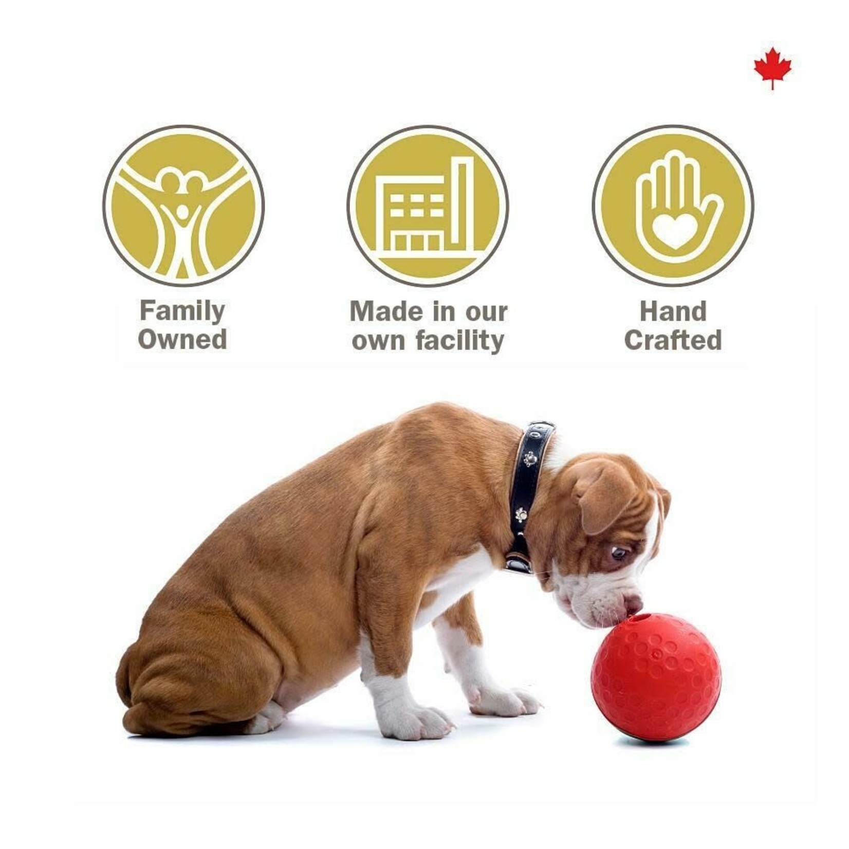 Crumps' Naturals Crumps’: Mini Trainers: Freeze-Dried Beef Liver