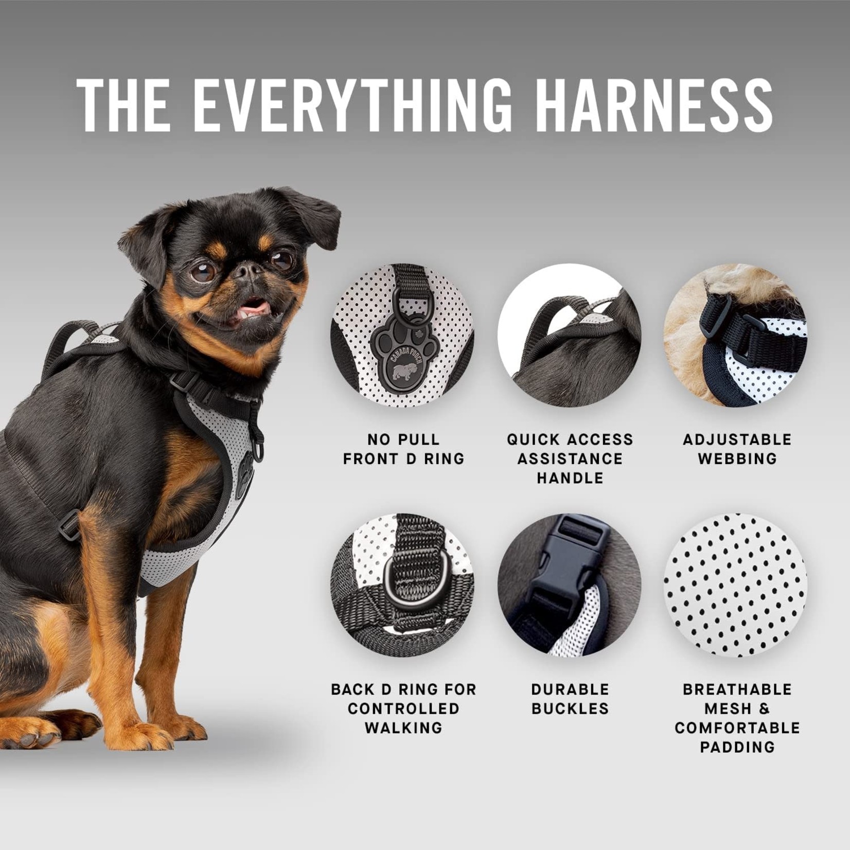 Canada Pooch Canada Pooch: Everything Harness