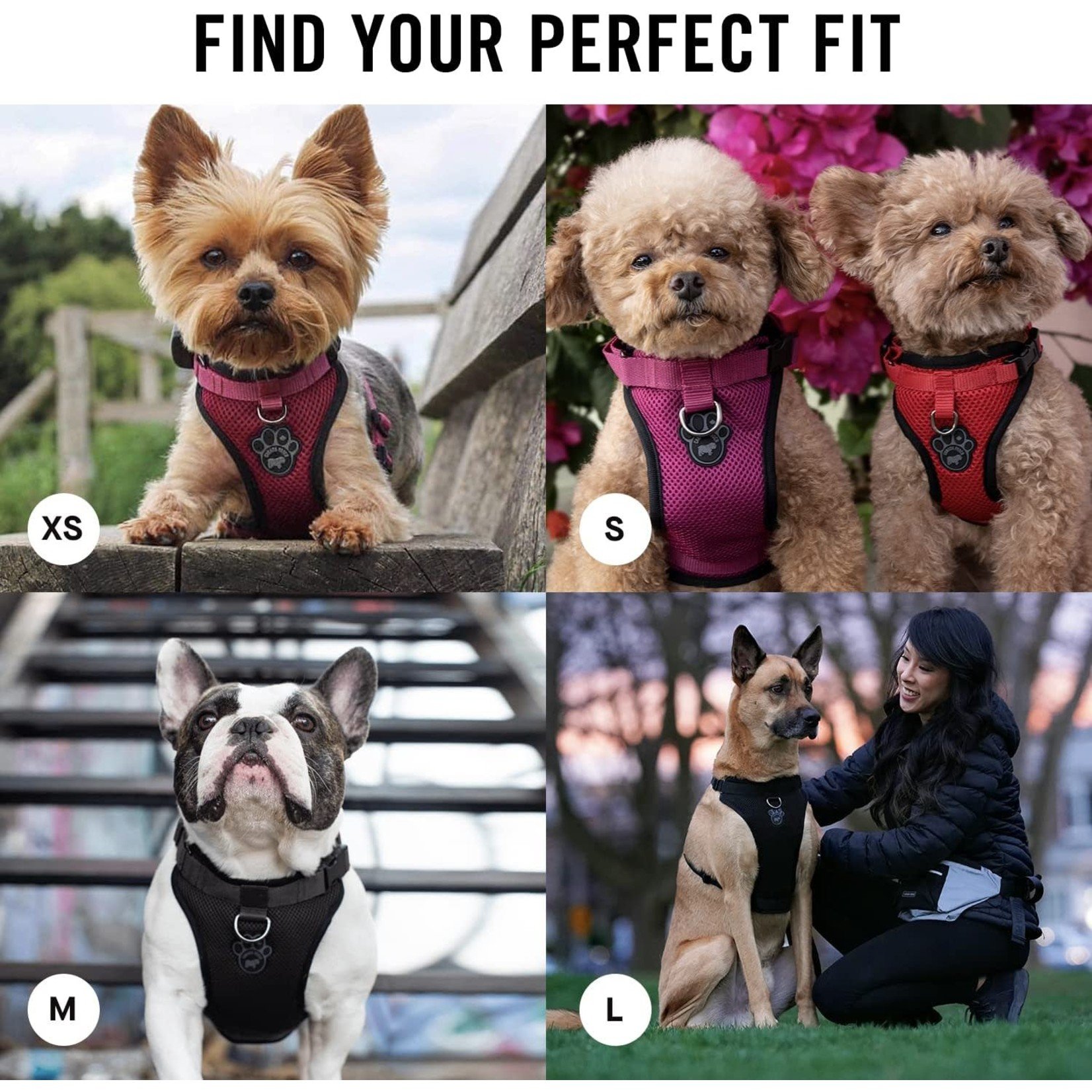 Canada Pooch Canada Pooch: Everything Harness