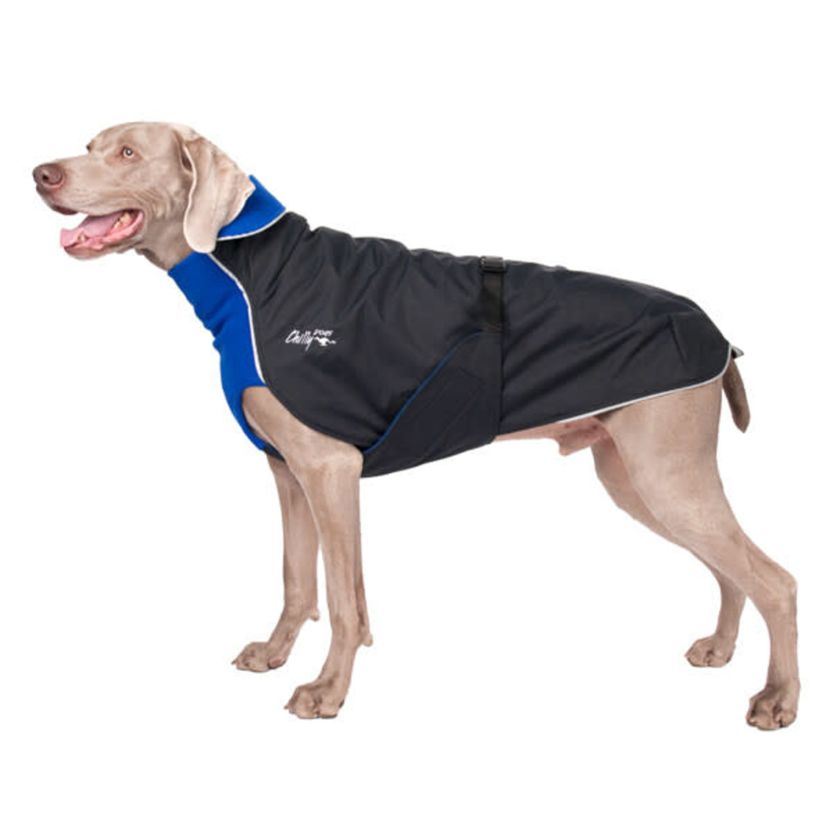 Chilly Dogs Chilly Dogs: Alpine Blazer: Black Shell/Blue Fleece
