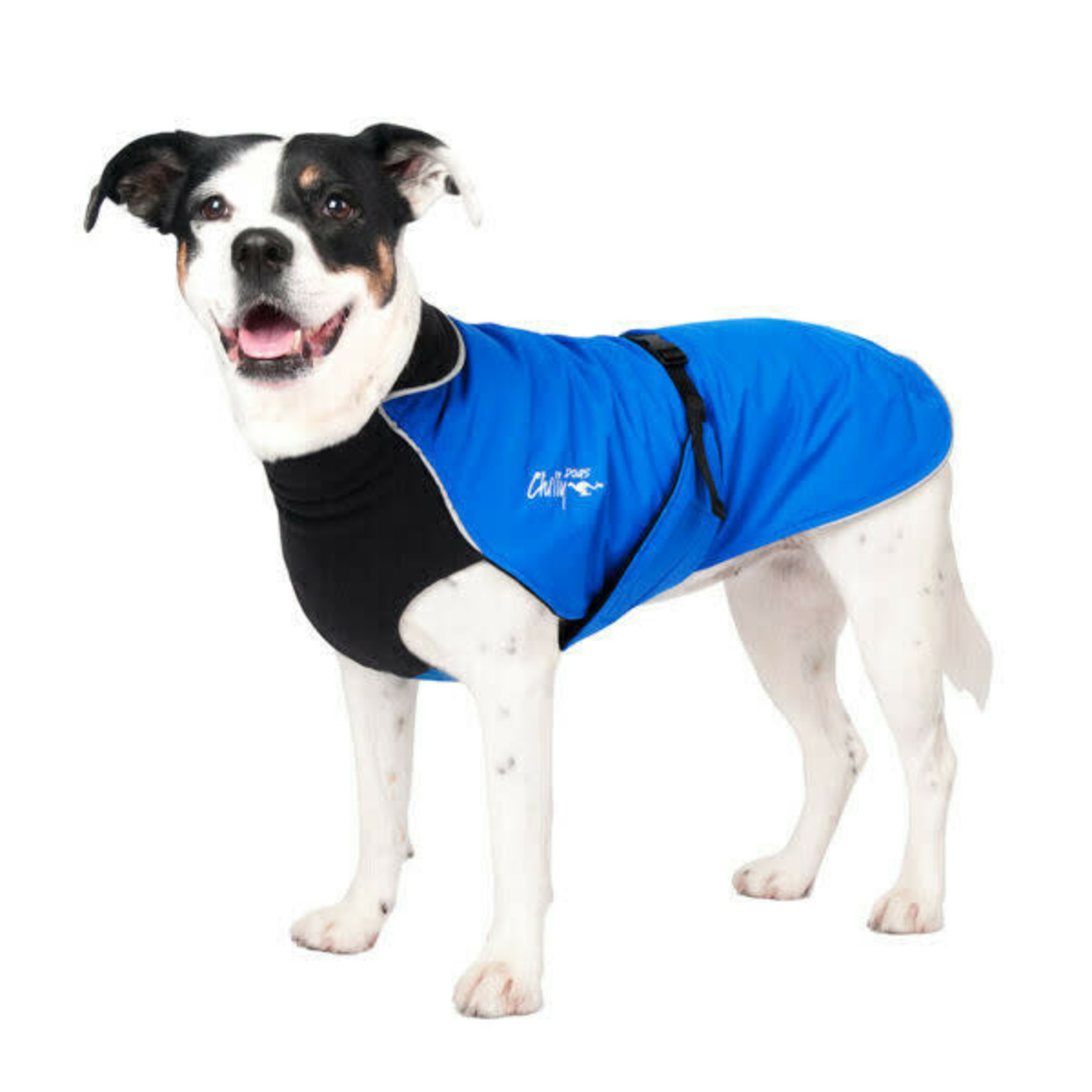 Chilly Dogs Chilly Dogs: Alpine Blazer: Blue Shell/Black Fleece