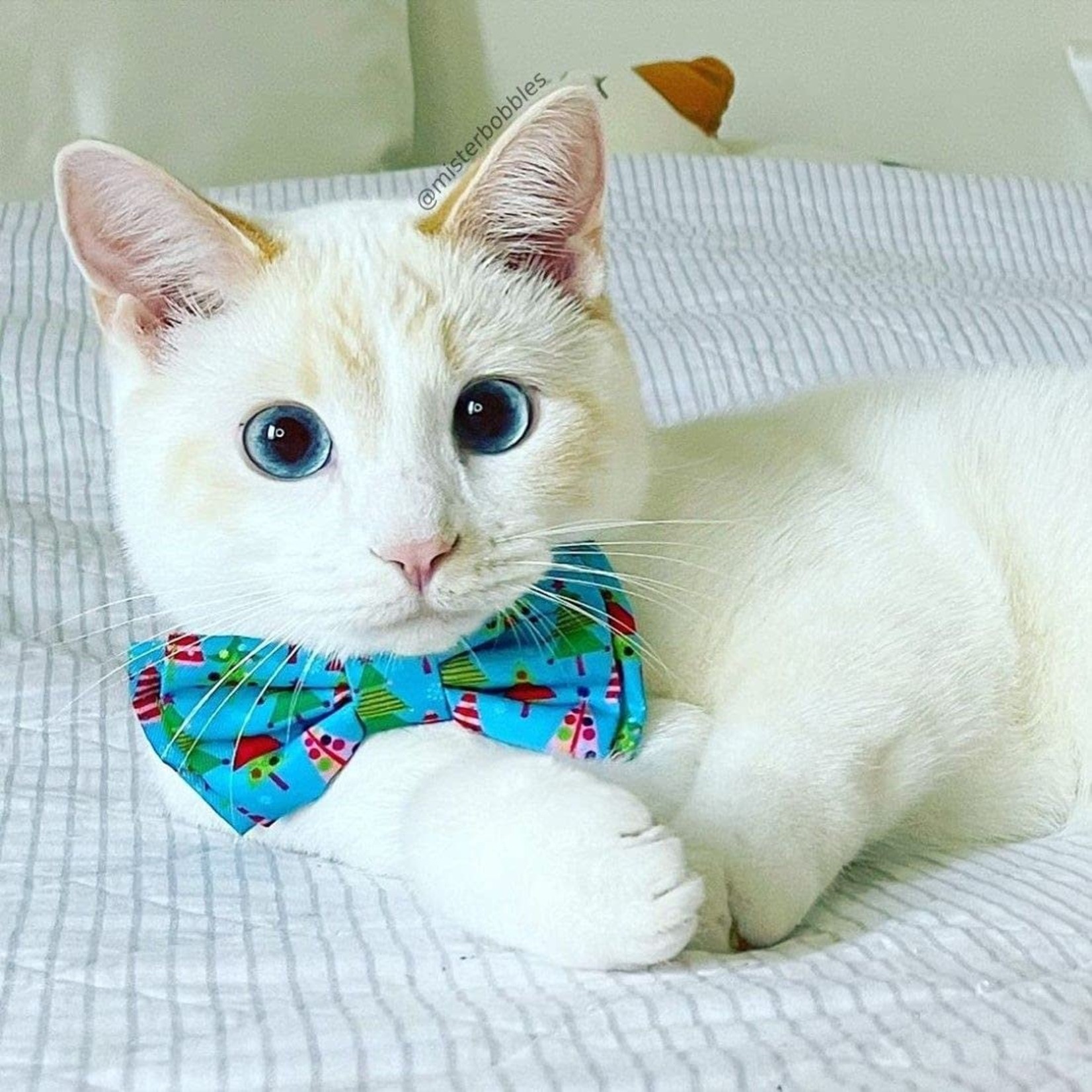 Huxley & Kent Huxley & Kent: Bow Tie: Christmas Tree