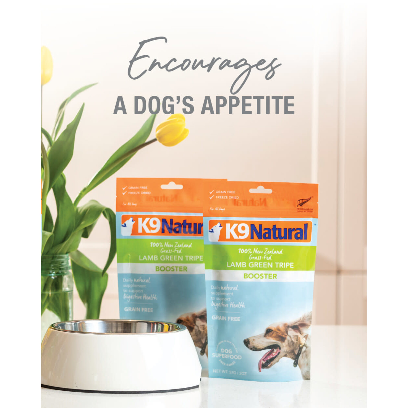 K9 Natural K9 Natural: Lamb Green Tripe Booster