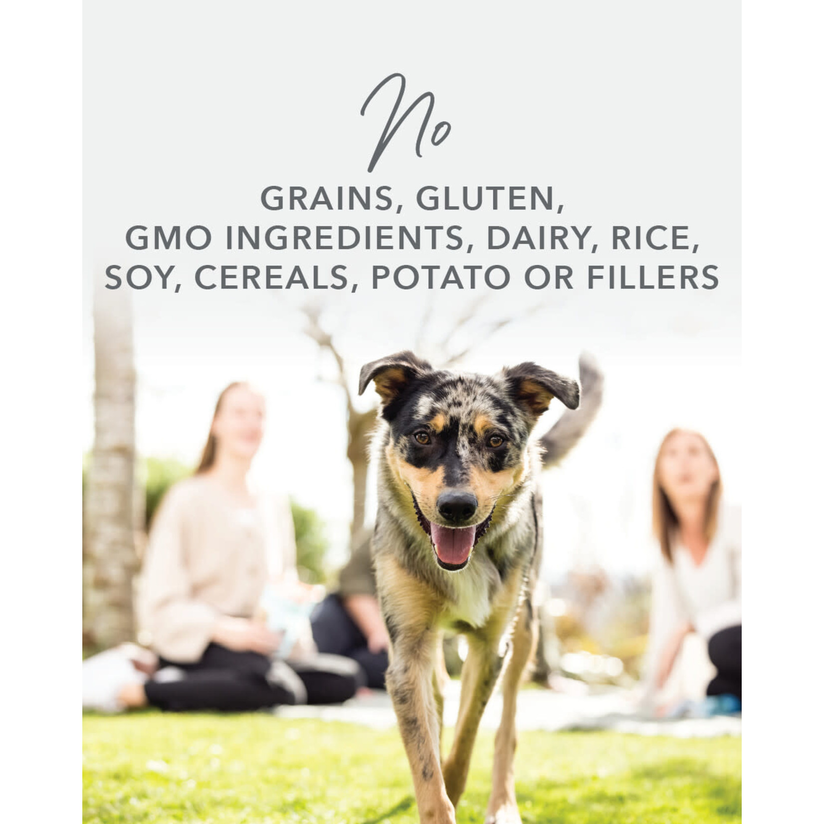 K9 Natural K9 Natural: Lamb & King Salmon Feast Freeze-Dried Food