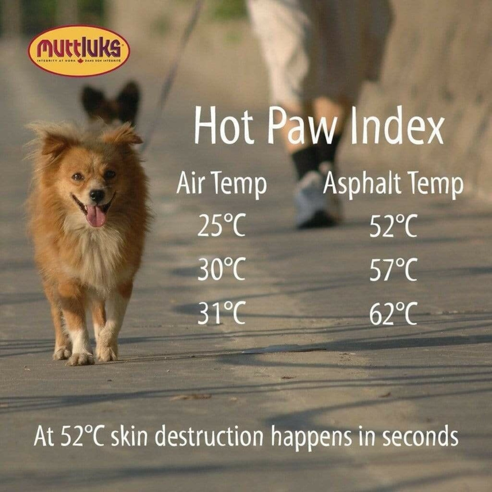 Muttluks: Fleece Lined Dog Boots: 4set