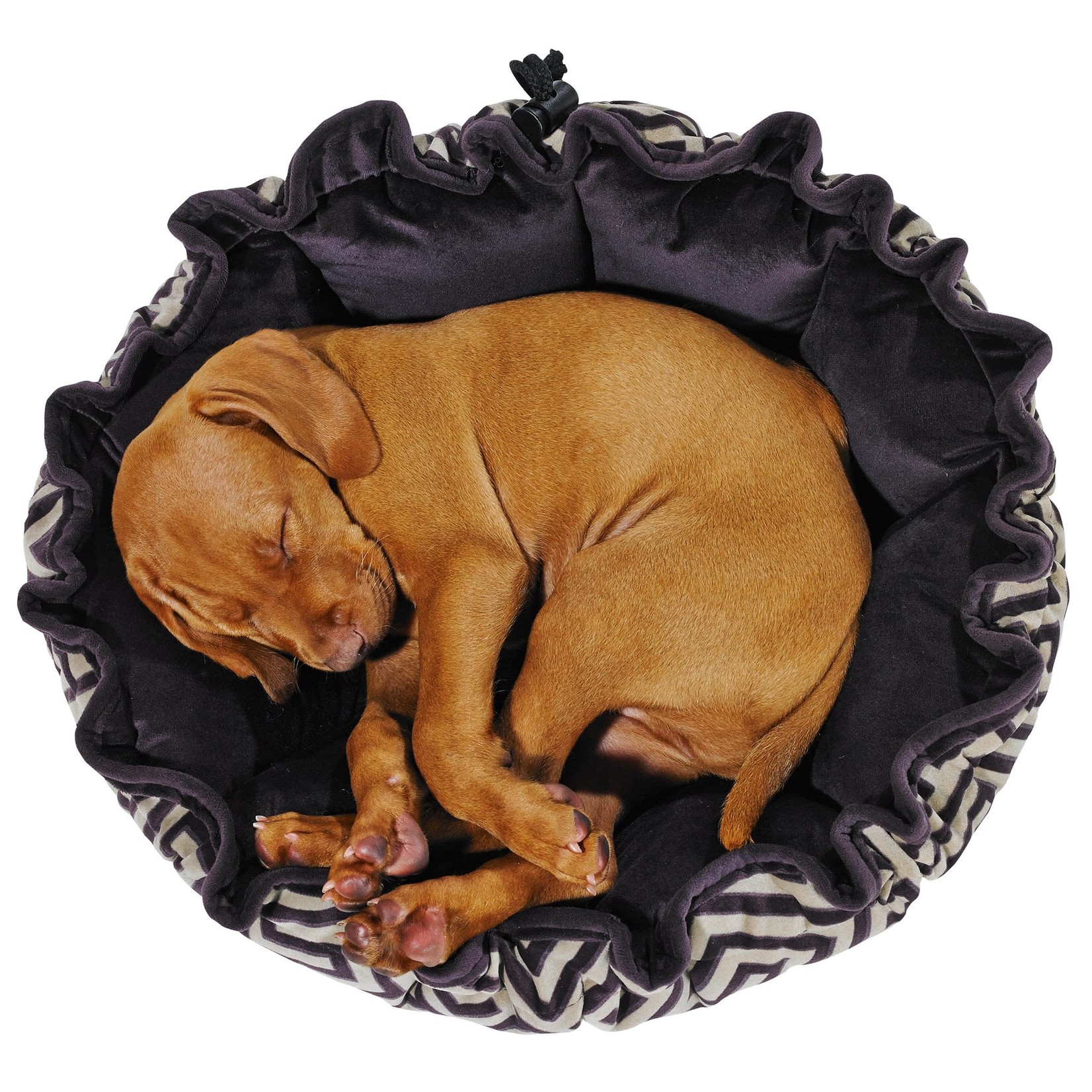 Bowsers Pet Products Bowsers: Buttercup Bed