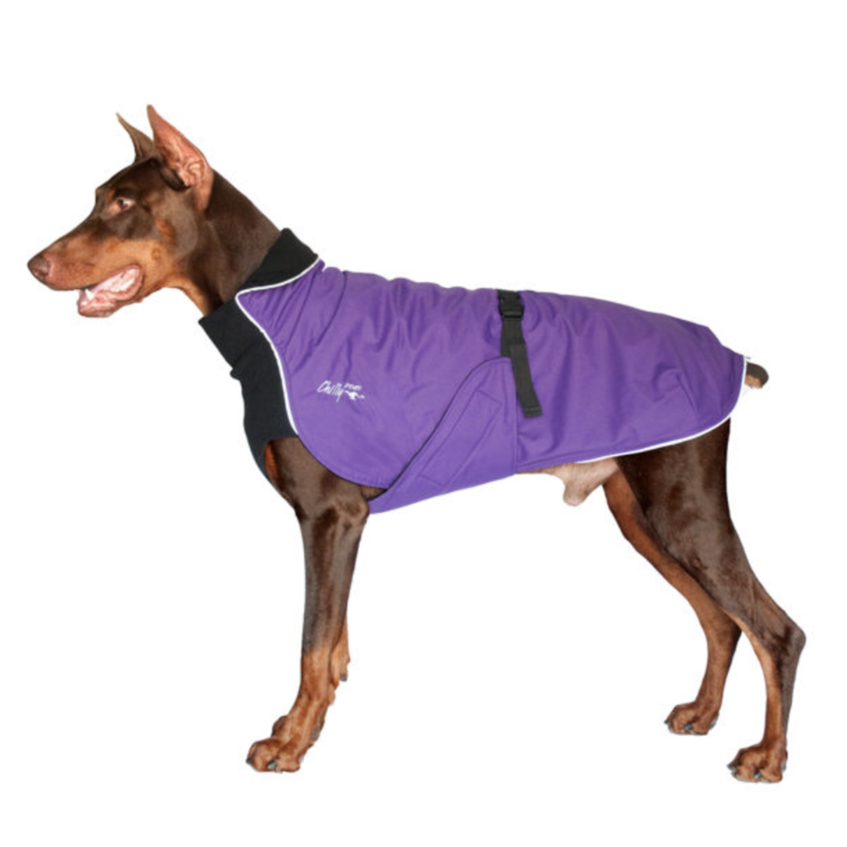 Chilly Dogs Chilly Dogs: Alpine Blazer: Purple Shell/Black Fleece
