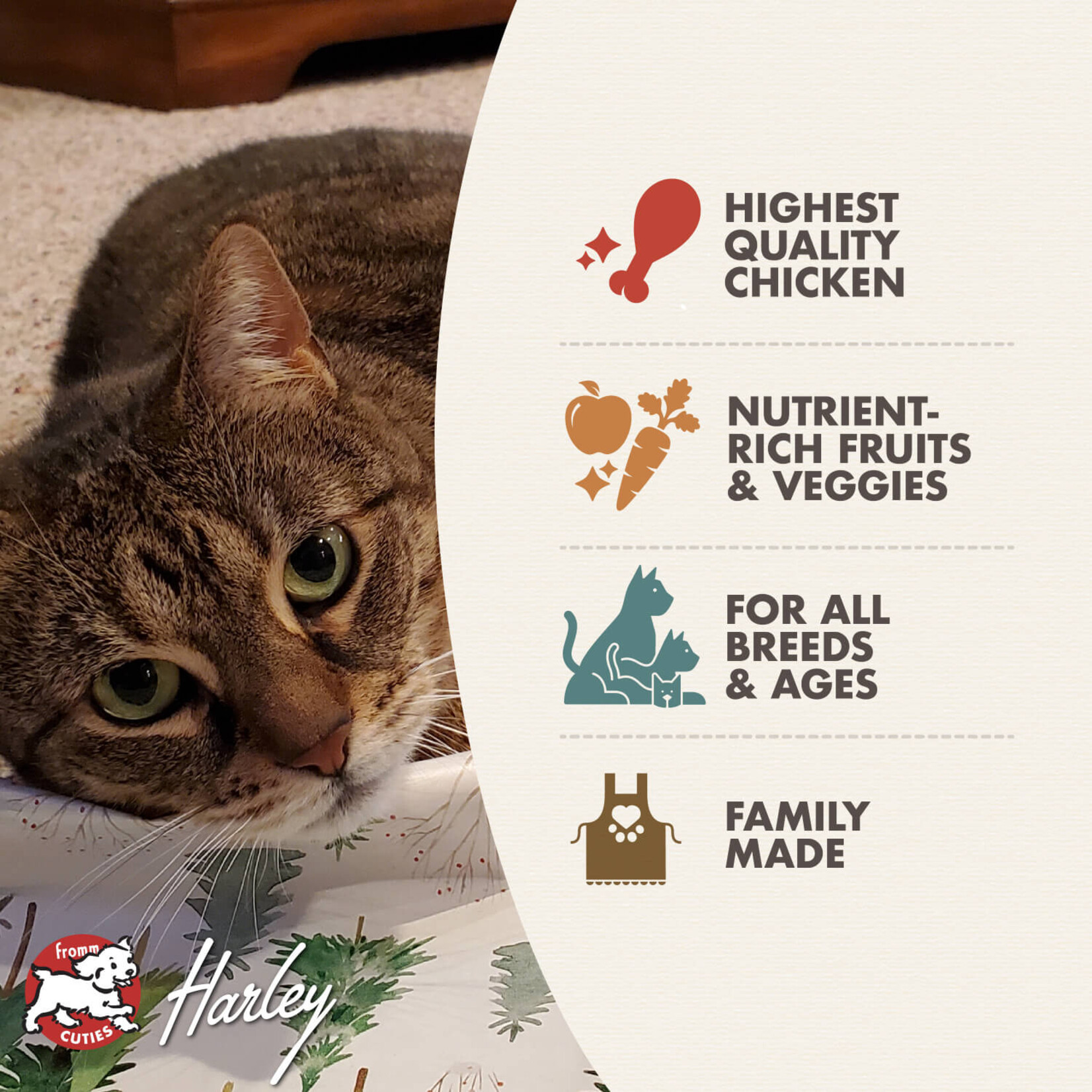 Fromm Fromm: Four-Star: Grain-Free Chicken Au Frommage Recipe: Dry Cat Food 4lb