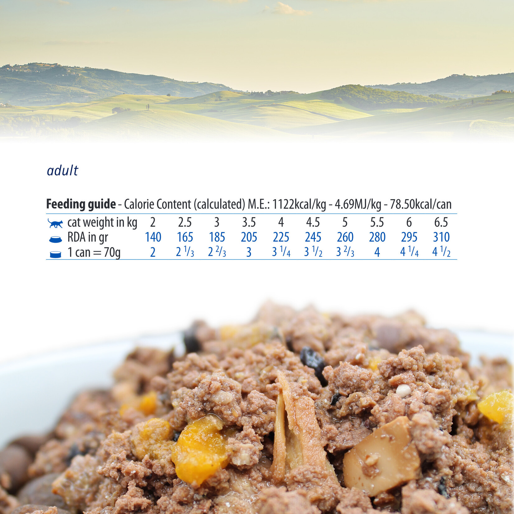 Farmina Farmina Rawcan: Pumpkin Lamb 2.8oz