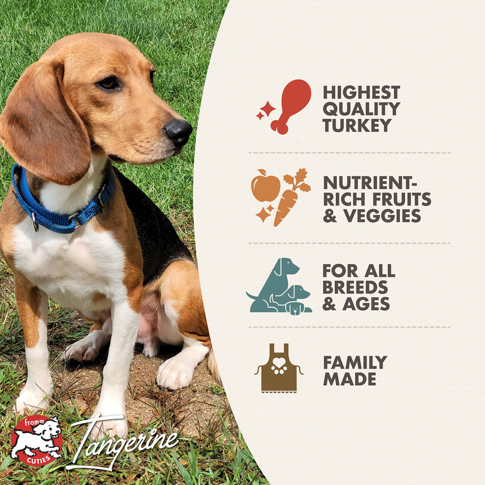 Fromm Fromm: Four Star: Grain-Free Game Bird