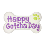 Bosco and Roxy's Bosco & Roxy's: Happy Gotcha Day