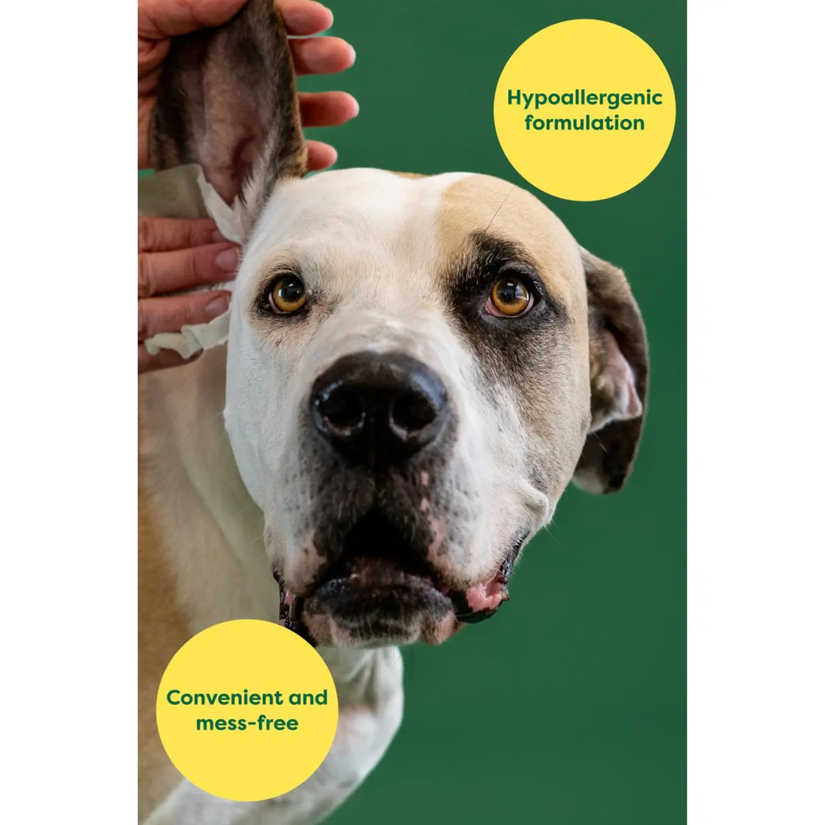 Earth Rated Earth Rated: Grooming: Ear Wipes 60pk