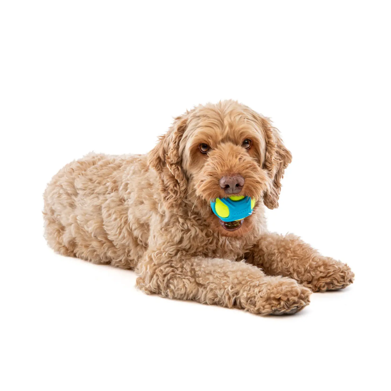 Guru Pet Company Guru: Tennis Max Ball