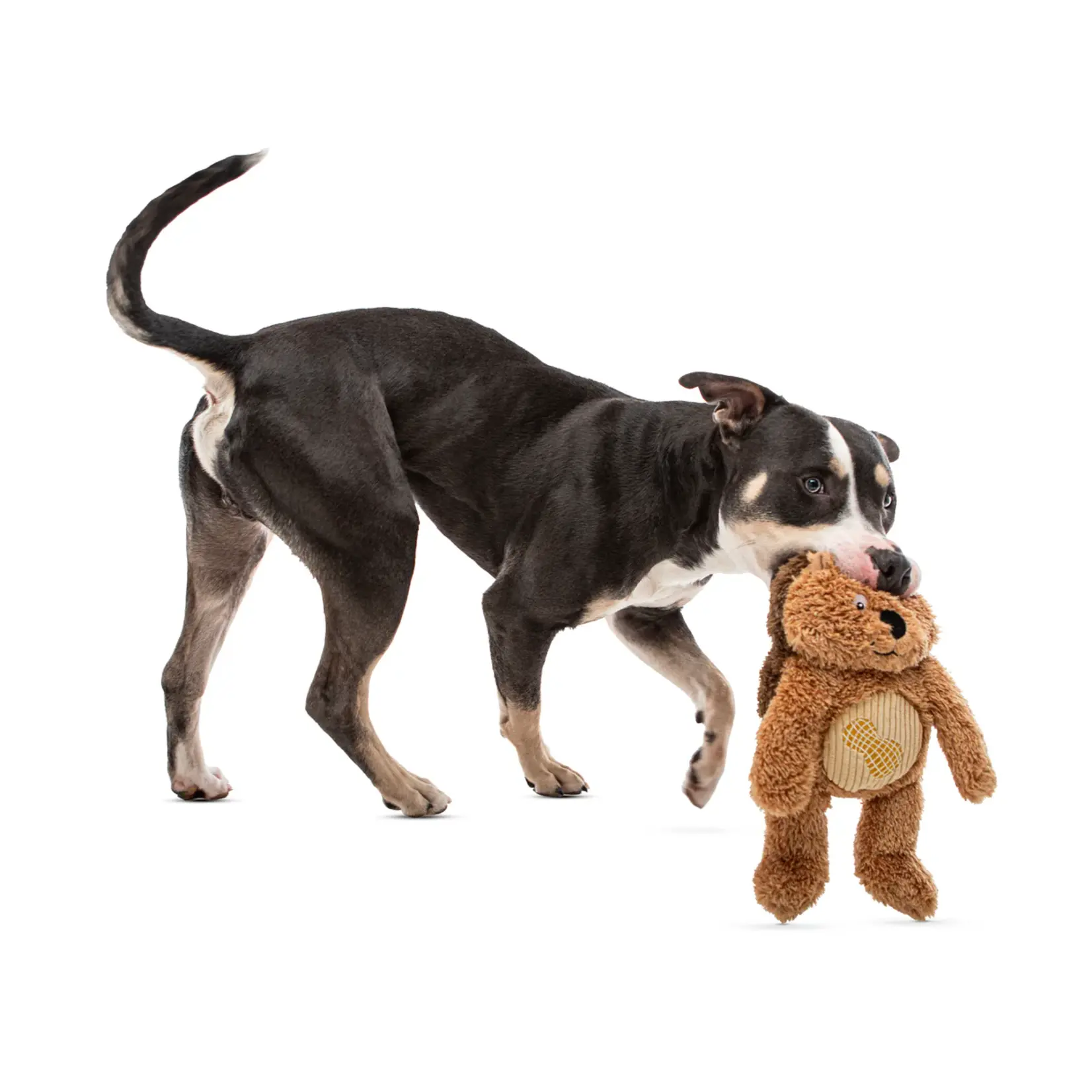 Guru Pet Company Guru: Soft Scents: Hedgehog