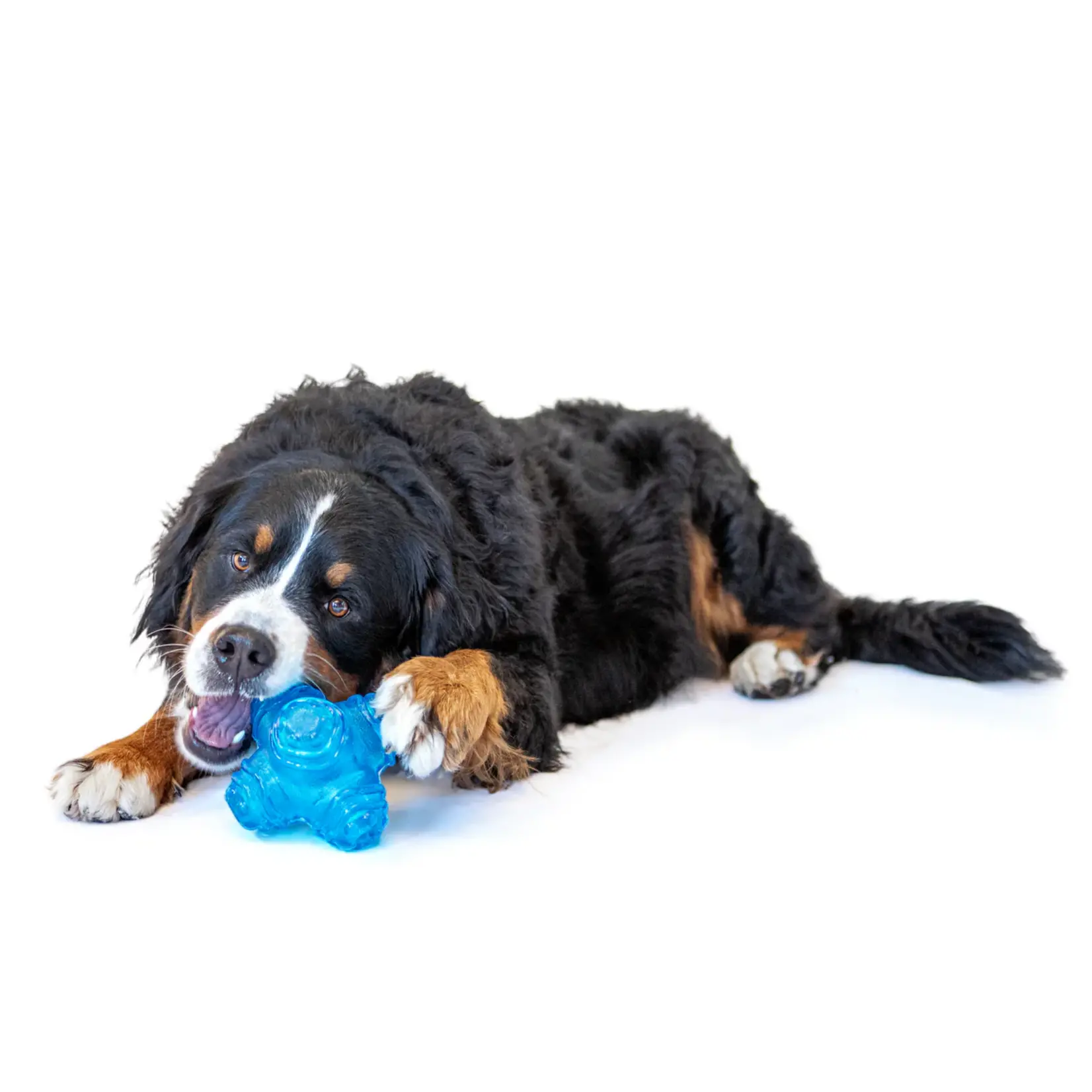 Guru Pet Company Guru: Puzzle Jack