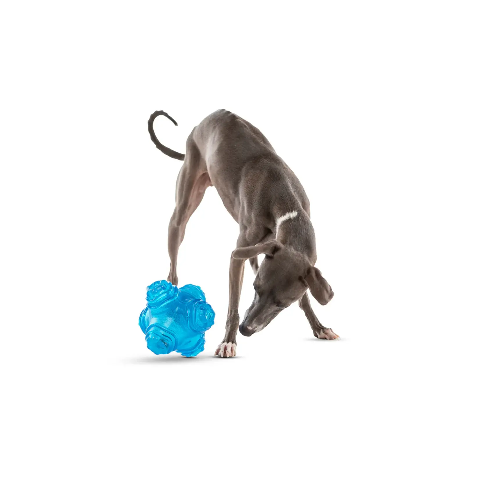 Guru Pet Company Guru: Puzzle Jack
