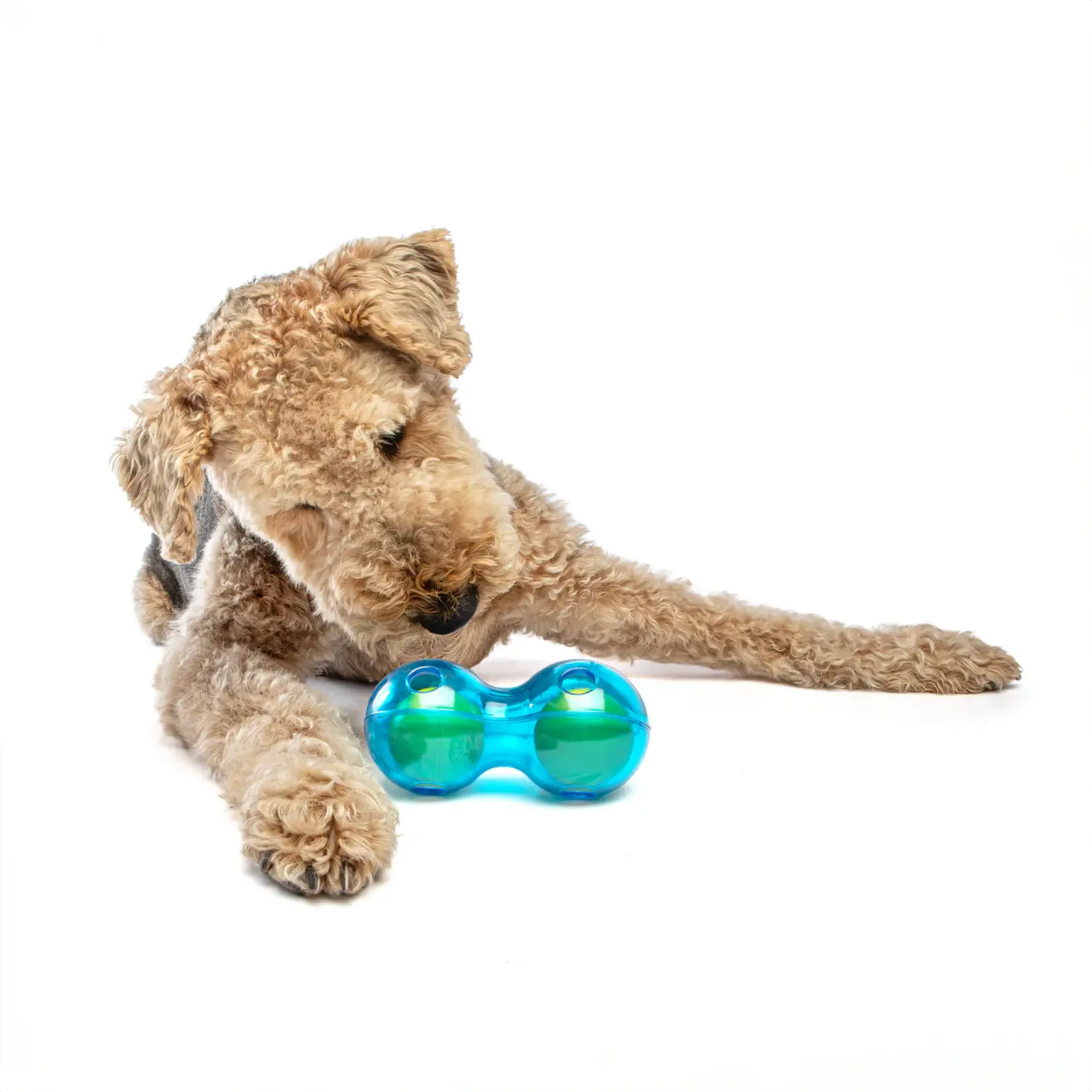 Guru Pet Company Guru: Duo Ball