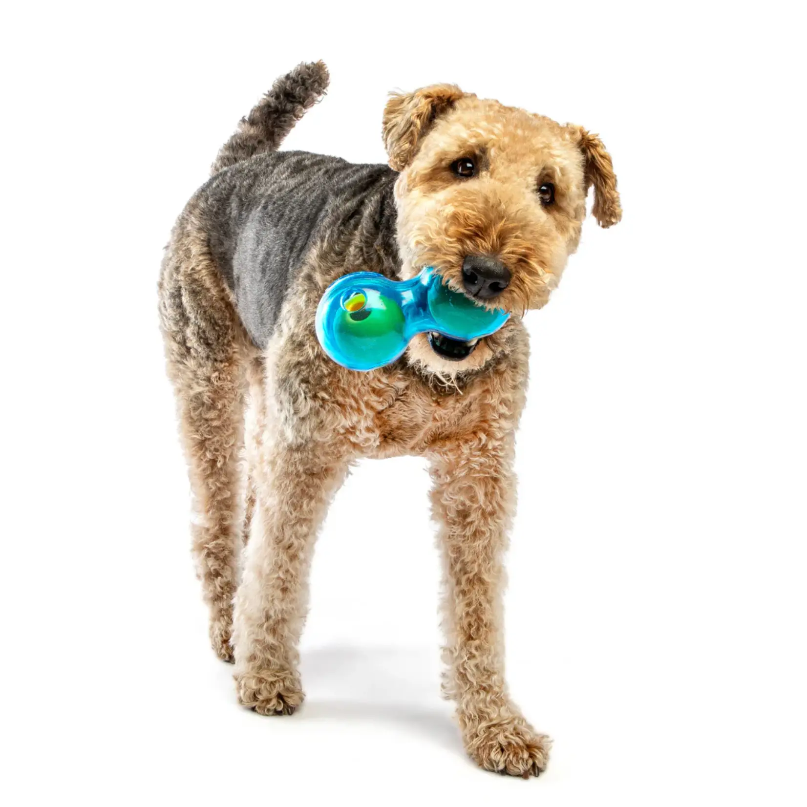 Guru Pet Company Guru: Duo Ball